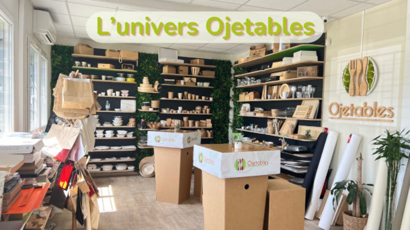 Blog l'univers Ojetables